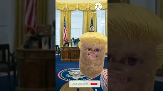 دونالد ترامب وشعره المستعار نهفات تحشيش اضحك عليه رئيس الولايات المتحدة الامريكية 