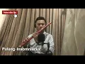 Download Lagu Pulang Insomniacks Seruling Version