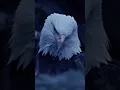 Download Lagu eagle attitude 🦅🦅 #shorts #shortsfeed #eagle #trending #shortsfeed #youtubeshorts #viral