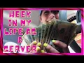 How much do I make as a server Week in my life EP 1
