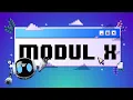 Module 10 Tutorial Sequential File