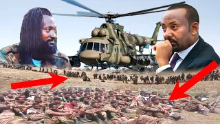 ODUU Ammee 1 10 2025 Moha Oromo 