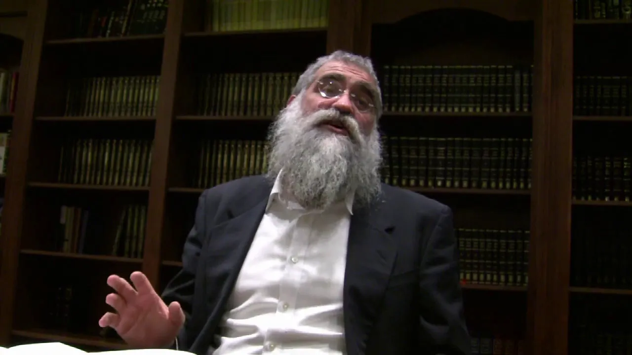 Tanya By Rabbi Yitzchok Minkowicz Sec4 Chap29 Jewish Law will connect you to the Ratzon/Will of G-D”