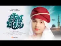 Download Lagu মোরা যদি ডানা ওয়ালা পাখি হইতাম | আমার মনের ঘরেতে রেখেছি যারে | Amar Moner Ghorete Rekhechi Jare