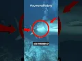 Download Lagu Why Sharks Never Get Cavities | Crazy Tooth Fact You Didn't Know! #sharkteeth #usa  #facts