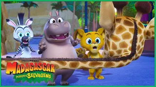 Emboscada da Ambulância 🚑 | DreamWorks Madagascar em Português