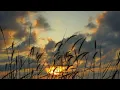 Download Lagu Video langit aesthetic - mentahan video background