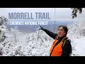 Morrell Trail Holston Mountain Cherokee National Forest