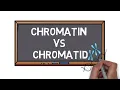 Chromatin Vs Chromatid What is the Difference Pocket Bio