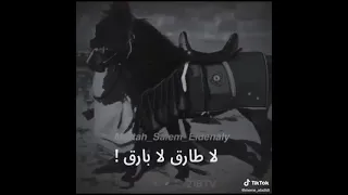 طارق لابارق وينك  اغنية شط الحرية دندنها