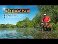 Lagu Feeder Fishing For Bream at Ferry Meadows with Steve Ringer! | Guru Bitesize #016