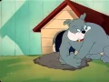 Download Lagu Tom and Jerry -  The Framed Cat