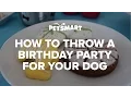 How to Throw a Birt ay Party for Your Dog