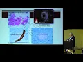 Neurogastroenterology Motility Richard W McCallum MD Neuro Connect Summit 2019