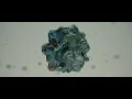 Centimillimental - Shindatteii