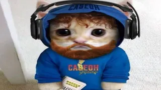 Top 5 CaseOh Crashout