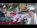 Lagu Momong Maning,Walk Around  Flowers Market With Ndoro Bei 