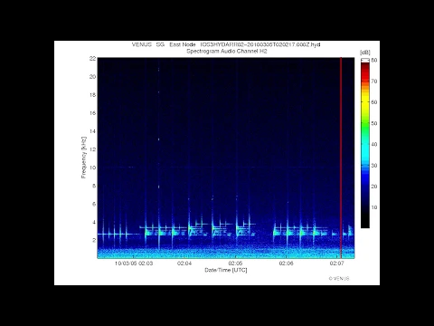 Download MP3 Modern Military Sonar pings and sweeps - Submarine/ Destroyer - Strange Underwater Audio