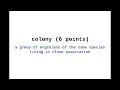 New York Times NYT Spelling Bee Answers and Solution for August 13 2026
