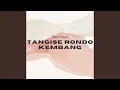 Download Lagu Tangise Rondo Kembang