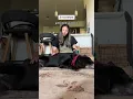 spend my dog s last day with me