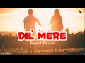 Dil Mere | Slowed Reverb | The Local Train | Indian lofi songs