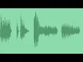 Party Horn Noise Maker Sound Effects
