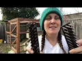 Review of Bird Spikes Squirrel Spikes Spike Strips for Bird Cat Squirrel Raccoon Animals Repellent