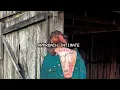 Showing Teeth - Labyrinth (Official Lyric Video)