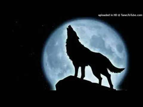 Download MP3 EFECTO DE SONIDO  - SOUND EFFECT Aullido De Lobo-howling wolf