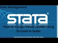 6 How to Assign Value Labels Using Encode in Stata