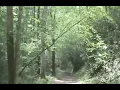 It Came Through The PORTAL CAM FOOTAGE OF NEPHILIM