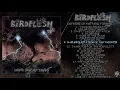 Download Lagu Birdflesh - Extreme Graveyard Tornado FULL ALBUM (2019 - Grindcore)