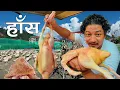 Download Lagu Haans ko Masu Khane Aaja | Saturday Night