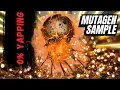 Mutagen Sample Farm 2026 - 15s Guide Warframe