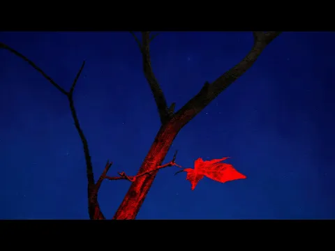 Video Thumbnail: WREN EVANS - THU ĐỢI | OFFICIAL LYRICS VIDEO (ft. itsnk)