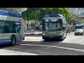 MDT Bus Action Miami Transit Observations