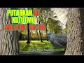 Download Lagu Pancingan GAcor MASTERAN perkutut - suara perkutut bangkok manggung, suara perkutut lokal pancingan