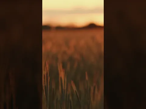 Quem dá quando falta descobre que sobra

O que você retém apodrece. O que você reparte multiplica.