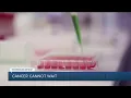 Rebound Detroit Why cancer treatment simply can t wait during a pandemic