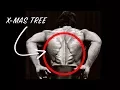 The incredible Christmas tree muscle - What is it and how do you get it