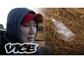 Download Lagu Prohibition in Northern Canada: VICE INTL (Canada)