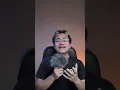 Download Lagu Apa yang terjadi kalau kita digigit komodo ?