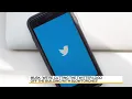 Musk Plans to Drop Twitter s Logo and All the Birds