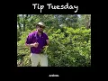 When and How to Prune Azaleas