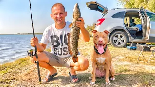 ВПЕРВЫЕ НА АРНАСАЕ С ДЖИНОЙ! Рыбалка, природа и неожиданный улов 🎣🐕
