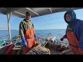 First Day of Halibut Fishing 2025 Halibut Longline Season