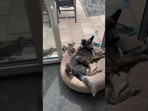 The Sweetest Friendship You'll See Today