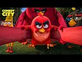 The Birds Attack the Pigs The Angry Birds Movie Jason Sudeikis Josh Gad