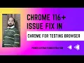 Selenium 4 Fixed Chrome for Testing Issues in Future Releases - Comprehensive Guide